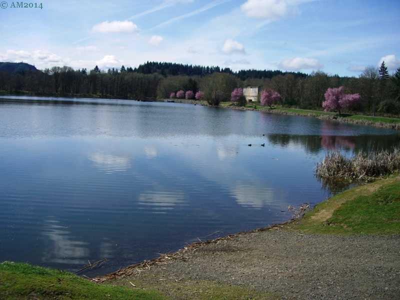 The old mill pond in Vernonia, Oregon is now a recreational lake.